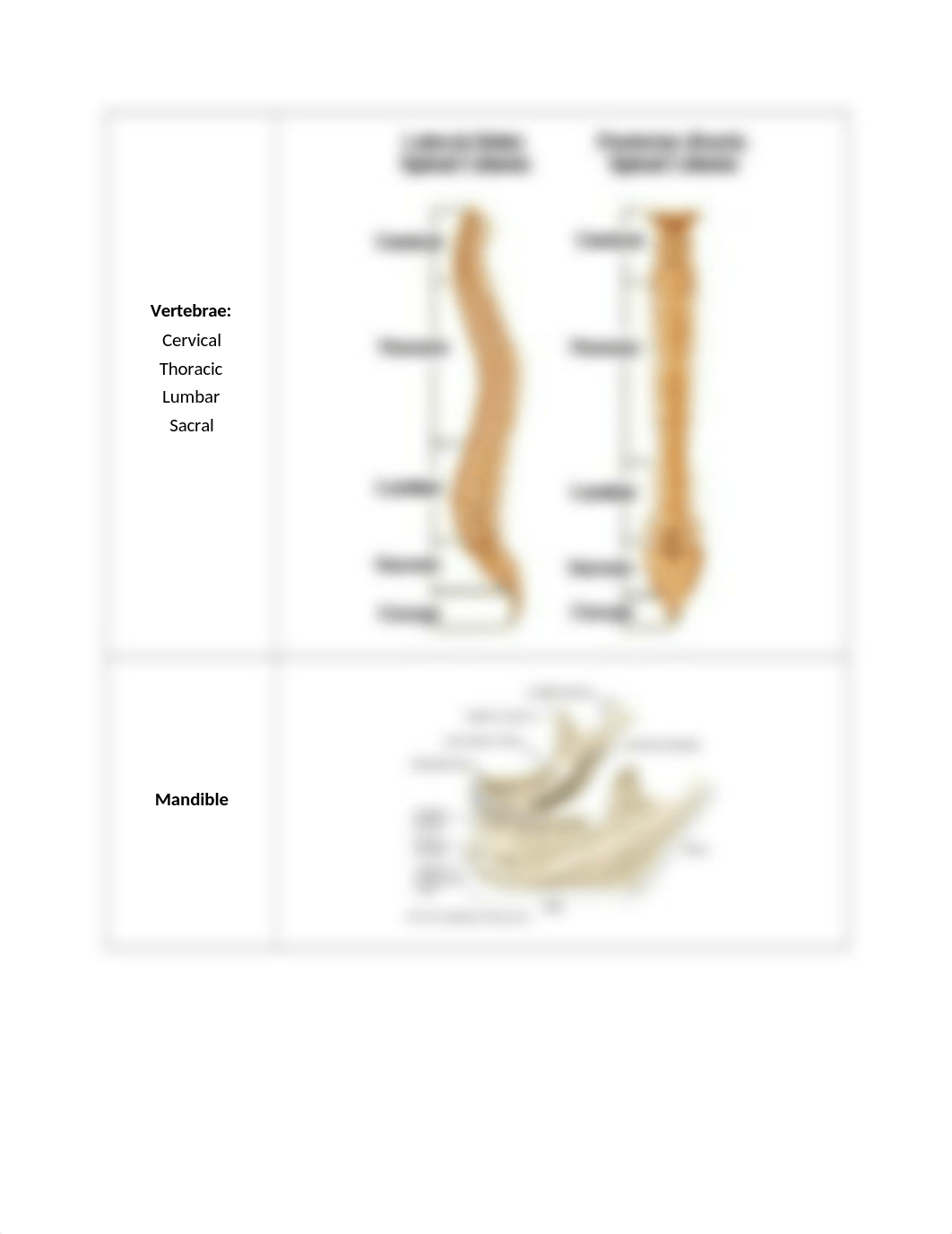 Lab 5 ready to print.docx_d8q3oq6b6hp_page2