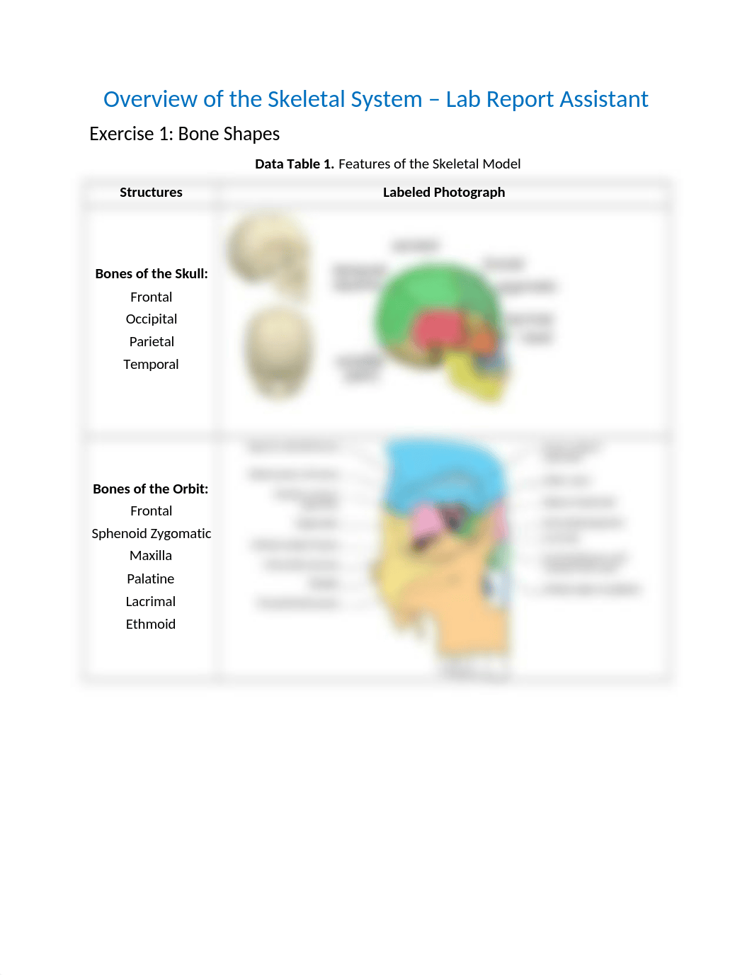 Lab 5 ready to print.docx_d8q3oq6b6hp_page1