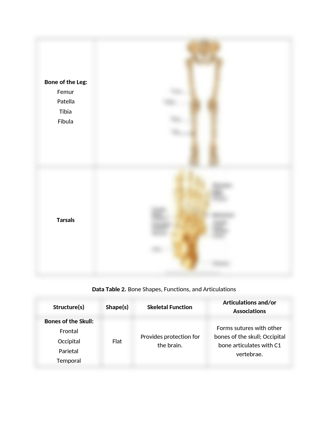 Lab 5 ready to print.docx_d8q3oq6b6hp_page5