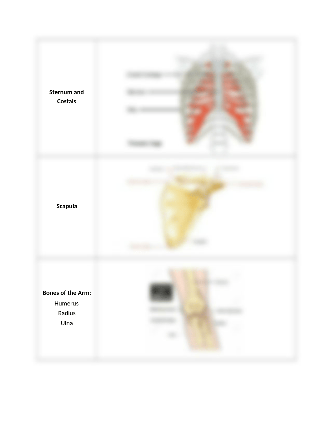 Lab 5 ready to print.docx_d8q3oq6b6hp_page3