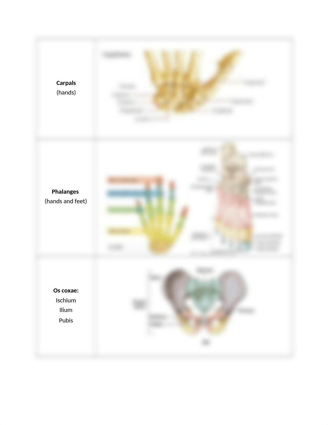 Lab 5 ready to print.docx_d8q3oq6b6hp_page4