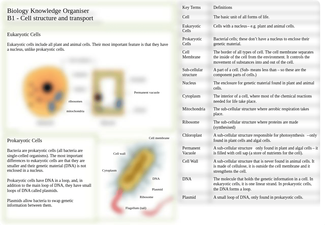 google summary sheet.pdf_d8q9hbv8riu_page1