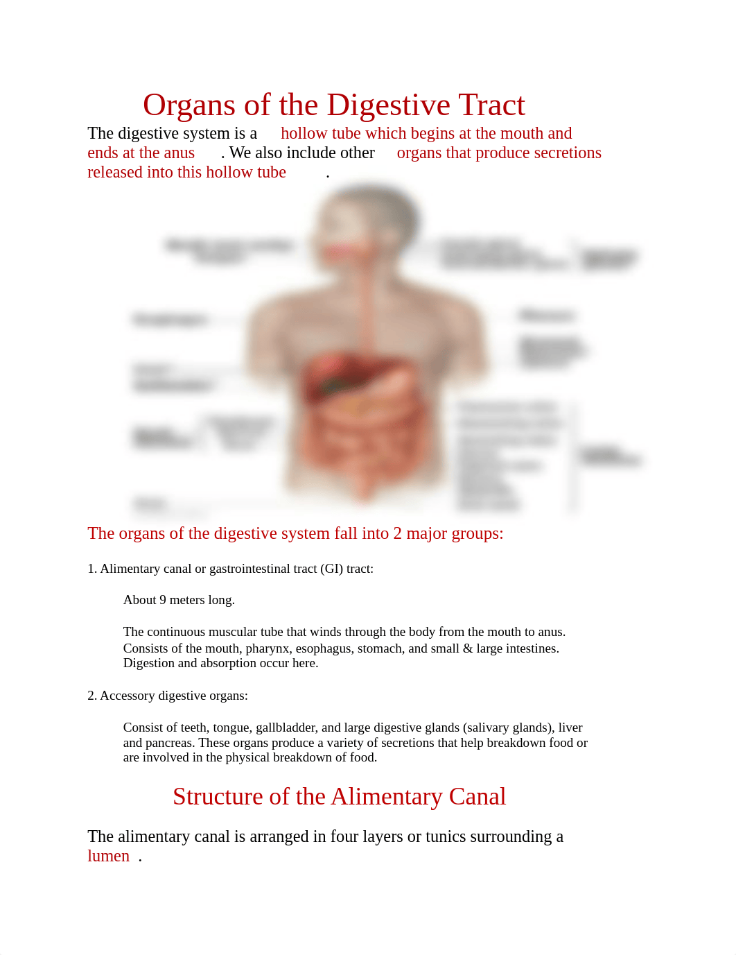 Organs of the Digestive Tract.docx_d8qbkhewhxj_page1