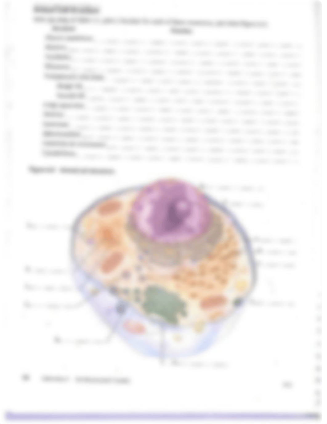 LAB 2017 (1)_d8qhuqn8d8w_page4