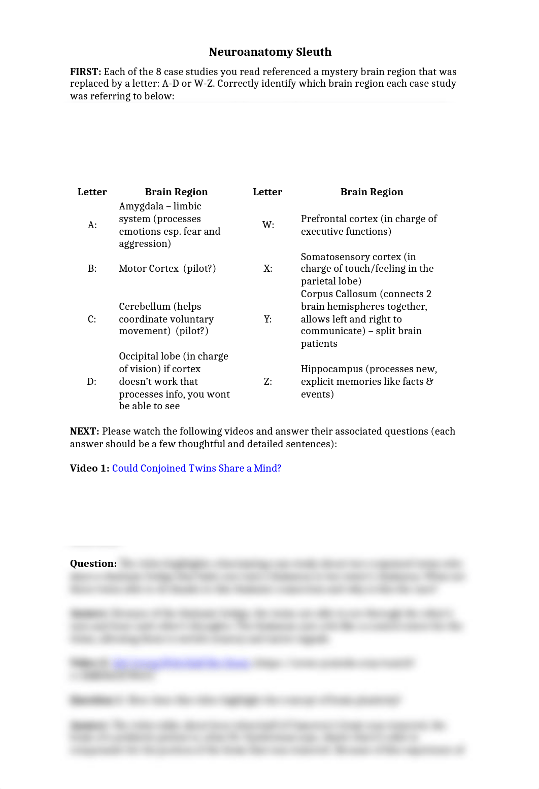 E Rodriguez Neuroanatomy Sleuth.doc_d8qj2y7euqa_page1