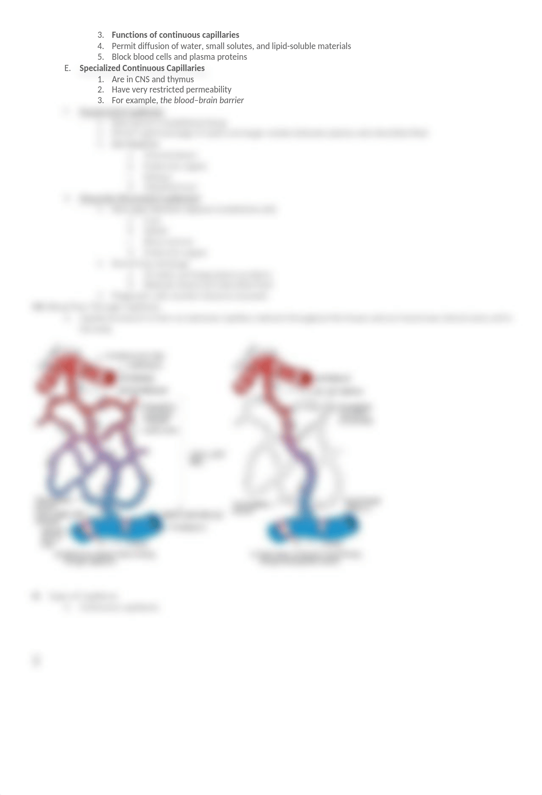 Chapter 21 powerpoint notes_d8qnznm6z6t_page3