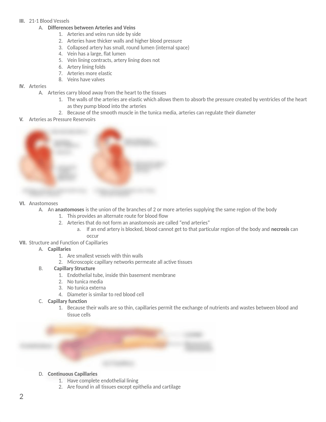 Chapter 21 powerpoint notes_d8qnznm6z6t_page2