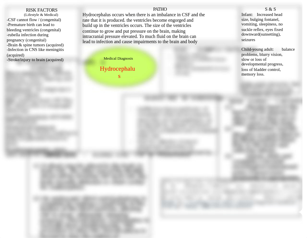 NUR 112 Concept Map- hydrocephalus .doc_d8rbofvfjh2_page1