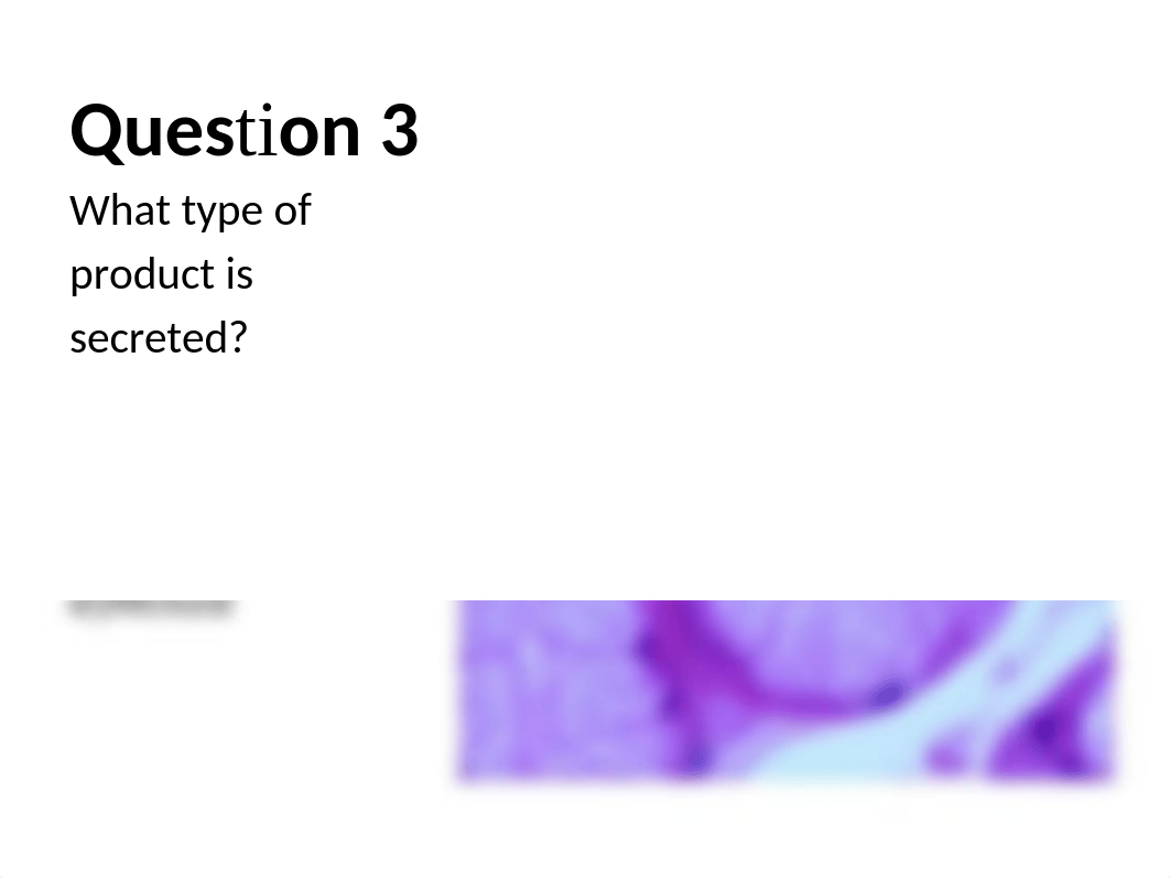 Exam 2 Mock A copy.pptx_d8rcwq1i460_page4