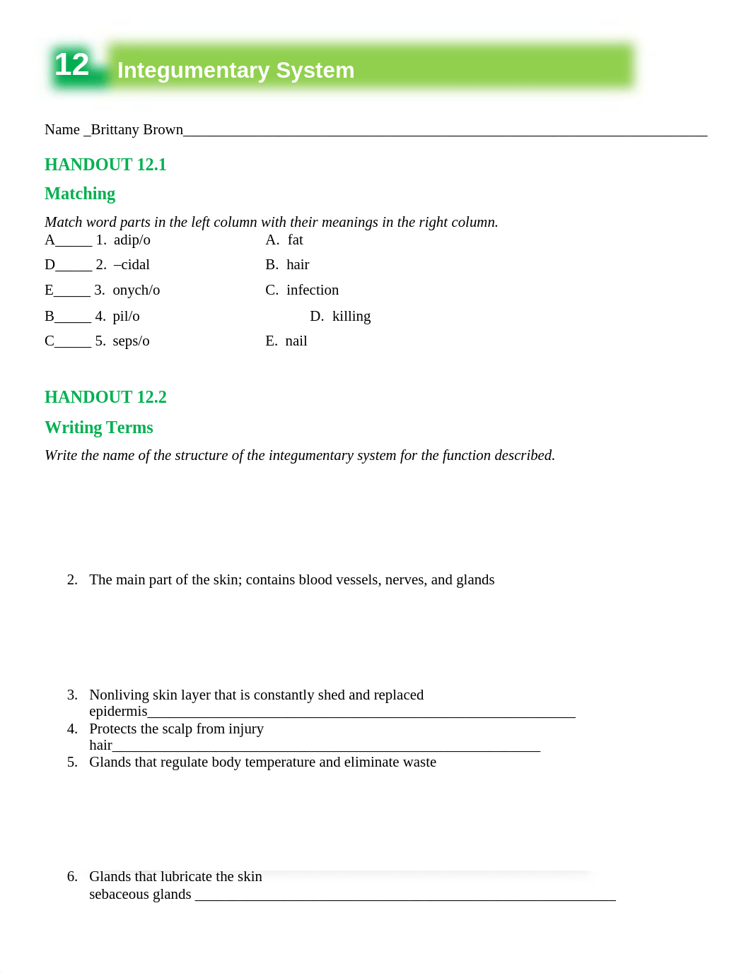 BB-Chapter 12 AssignmentA.docx_d8rddf1ibsx_page1