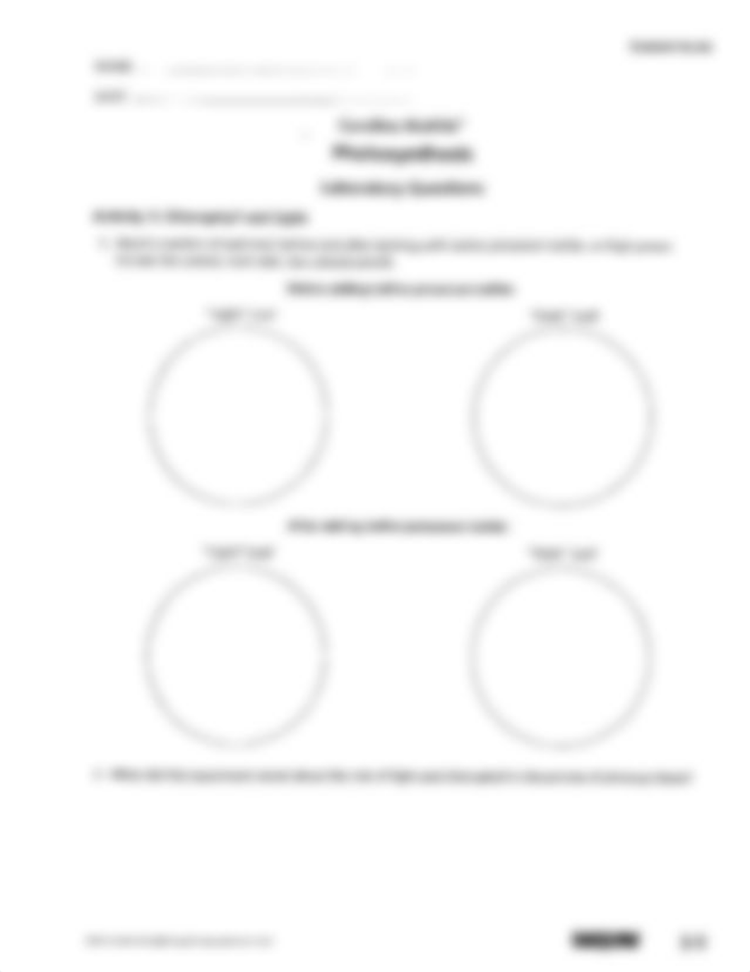 Photosynthesis Lab (1)_d8rmk54g4ef_page5