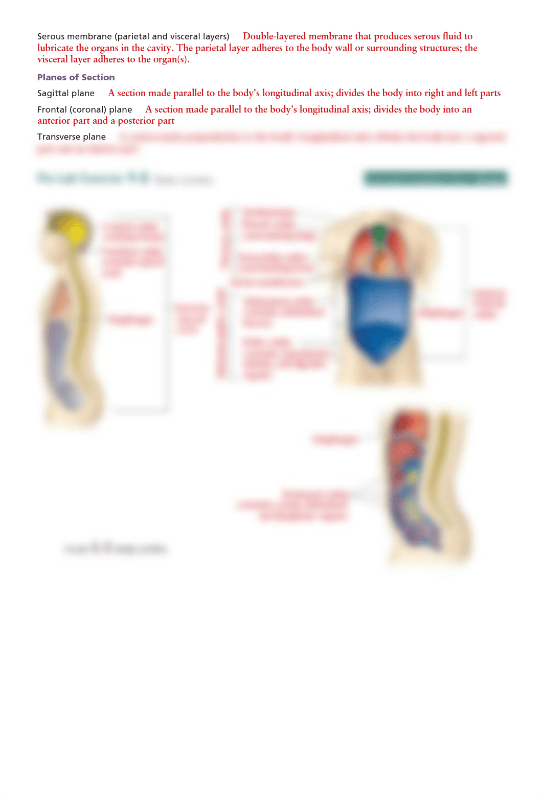 unit_1_intro_to_anatomical_terms.pdf_d8rsbi6mclg_page2