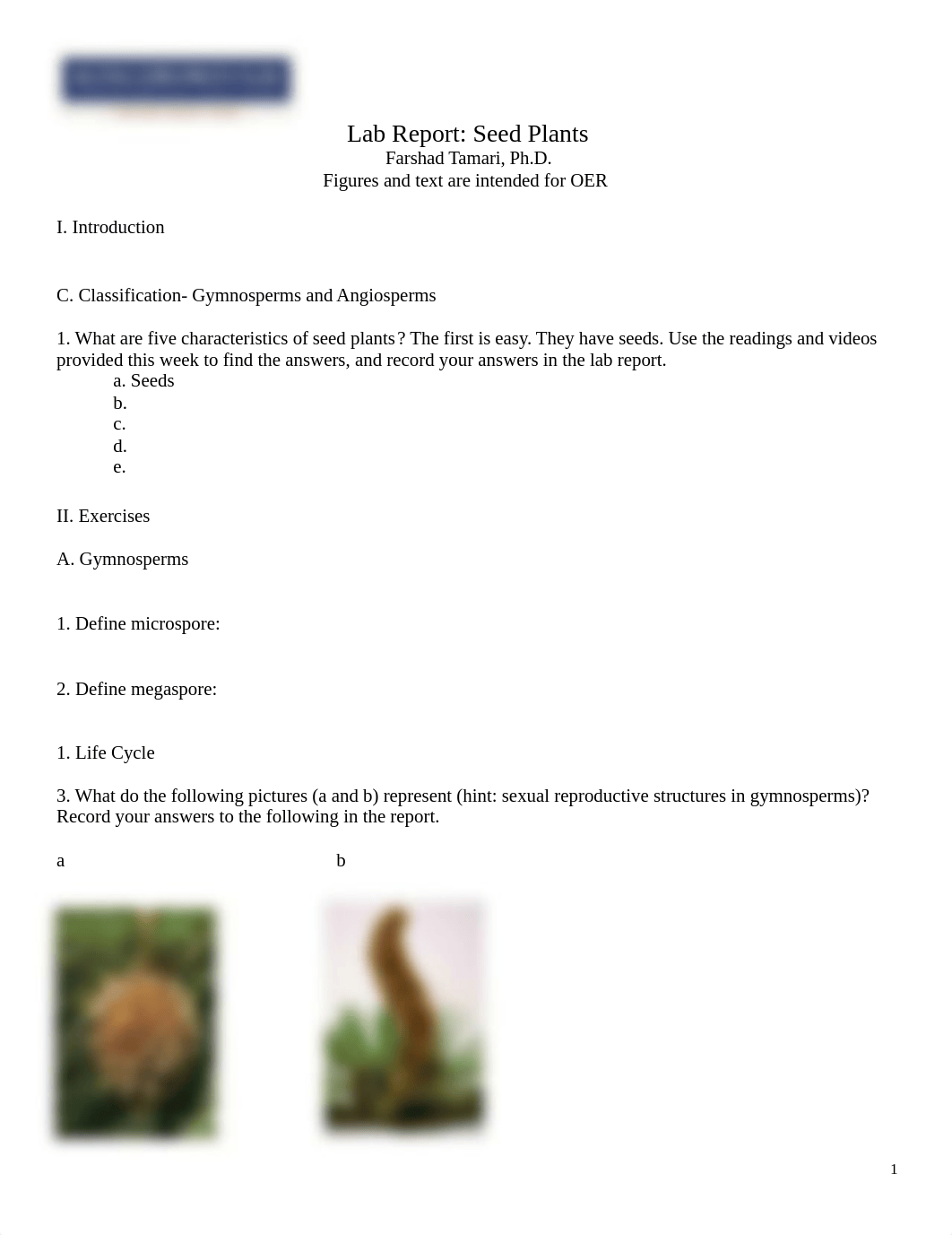 General Biology II Lab Report Worksheet for Seed Plants.docx_d8rsic2hhnu_page1