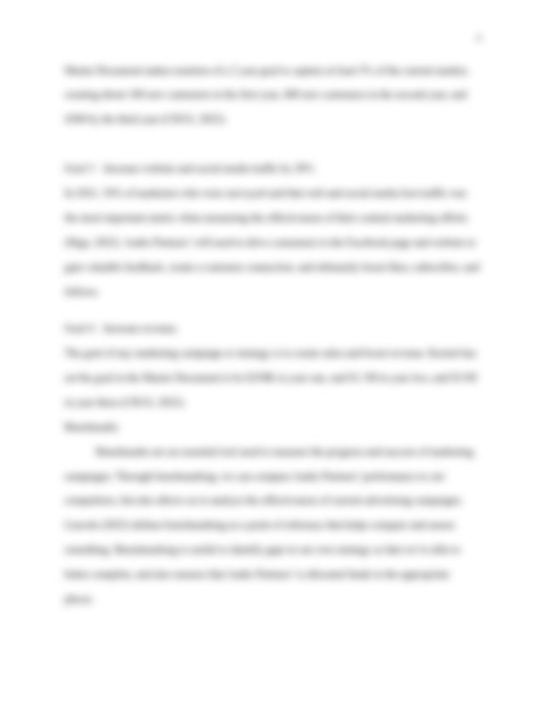 Marketing Strategy Final.docx_d8shok1pl6y_page5