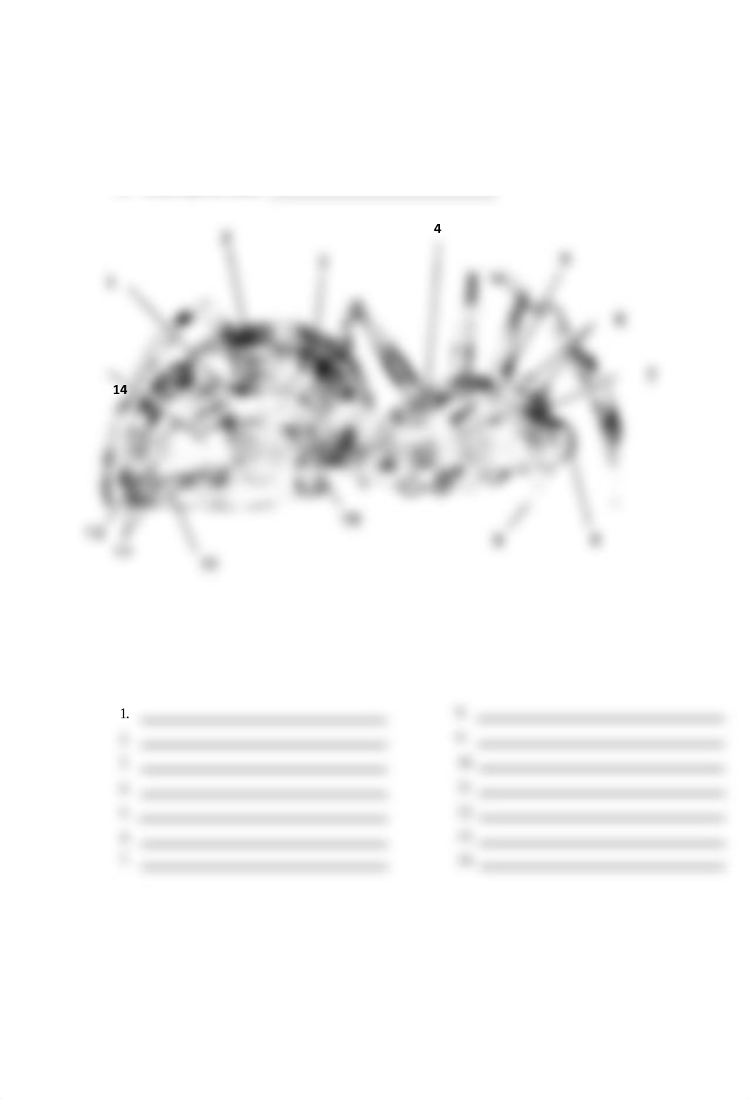 BIO 102 Lab 7.pdf_d8ss7oo0jam_page4