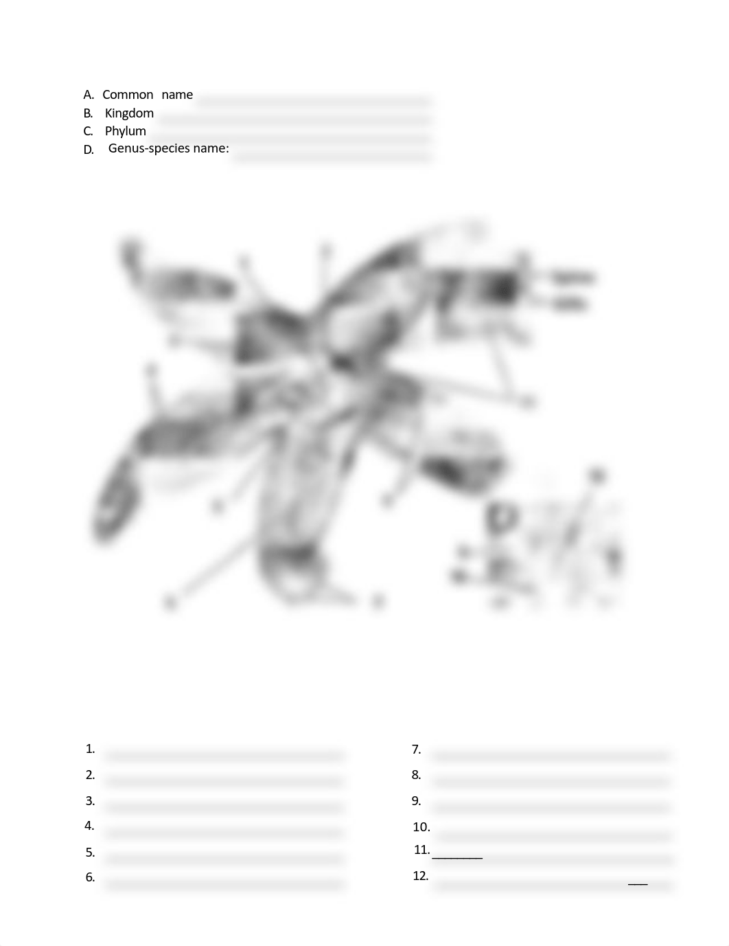 BIO 102 Lab 7.pdf_d8ss7oo0jam_page3