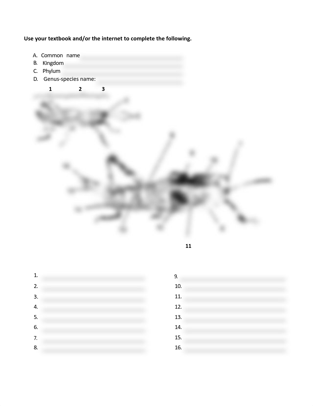 BIO 102 Lab 7.pdf_d8ss7oo0jam_page2