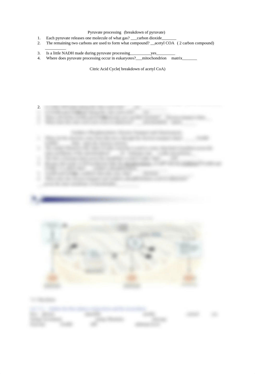 REVISED guide 7  Brooker 5th cellular respiration and fermentation spring 20.docx_d8sv7buerrq_page2