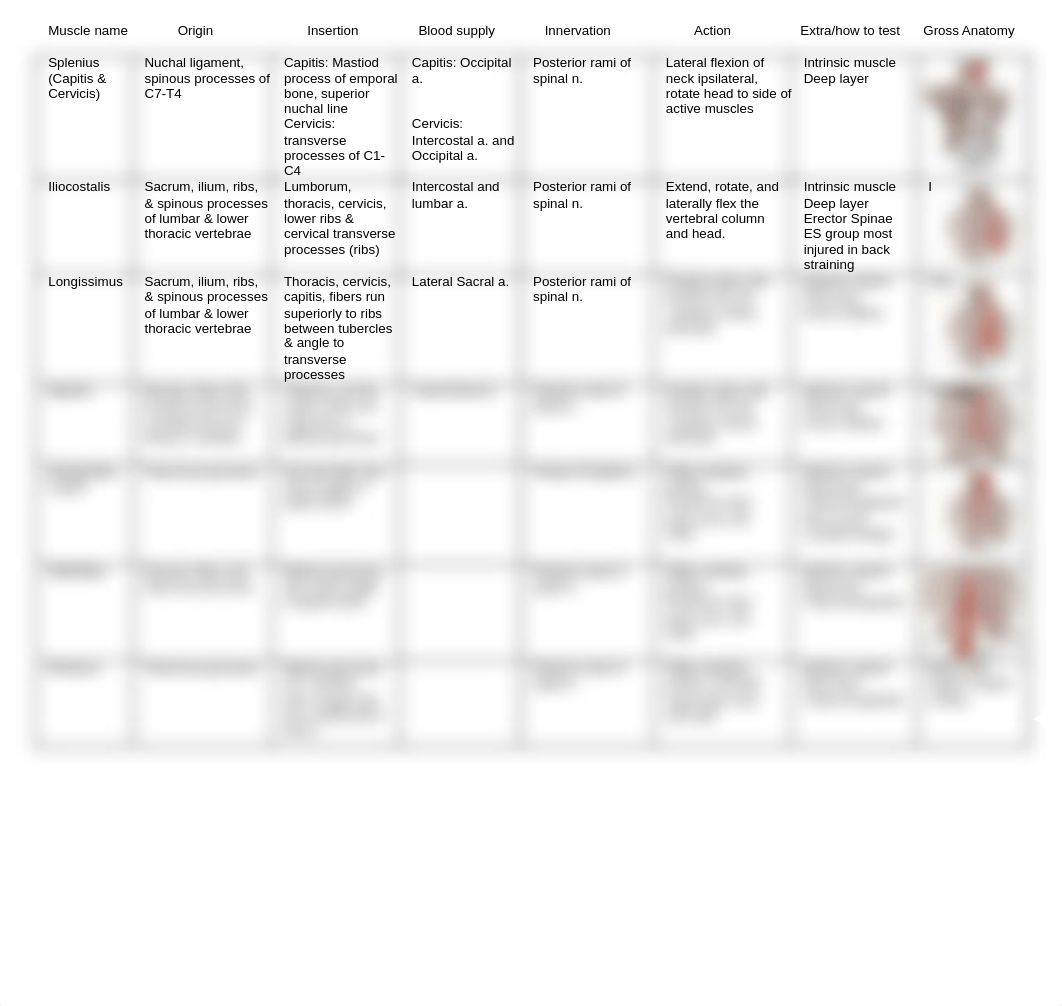 Master Anatomy Muscle Chart.pdf_d8swtg8xv0l_page2