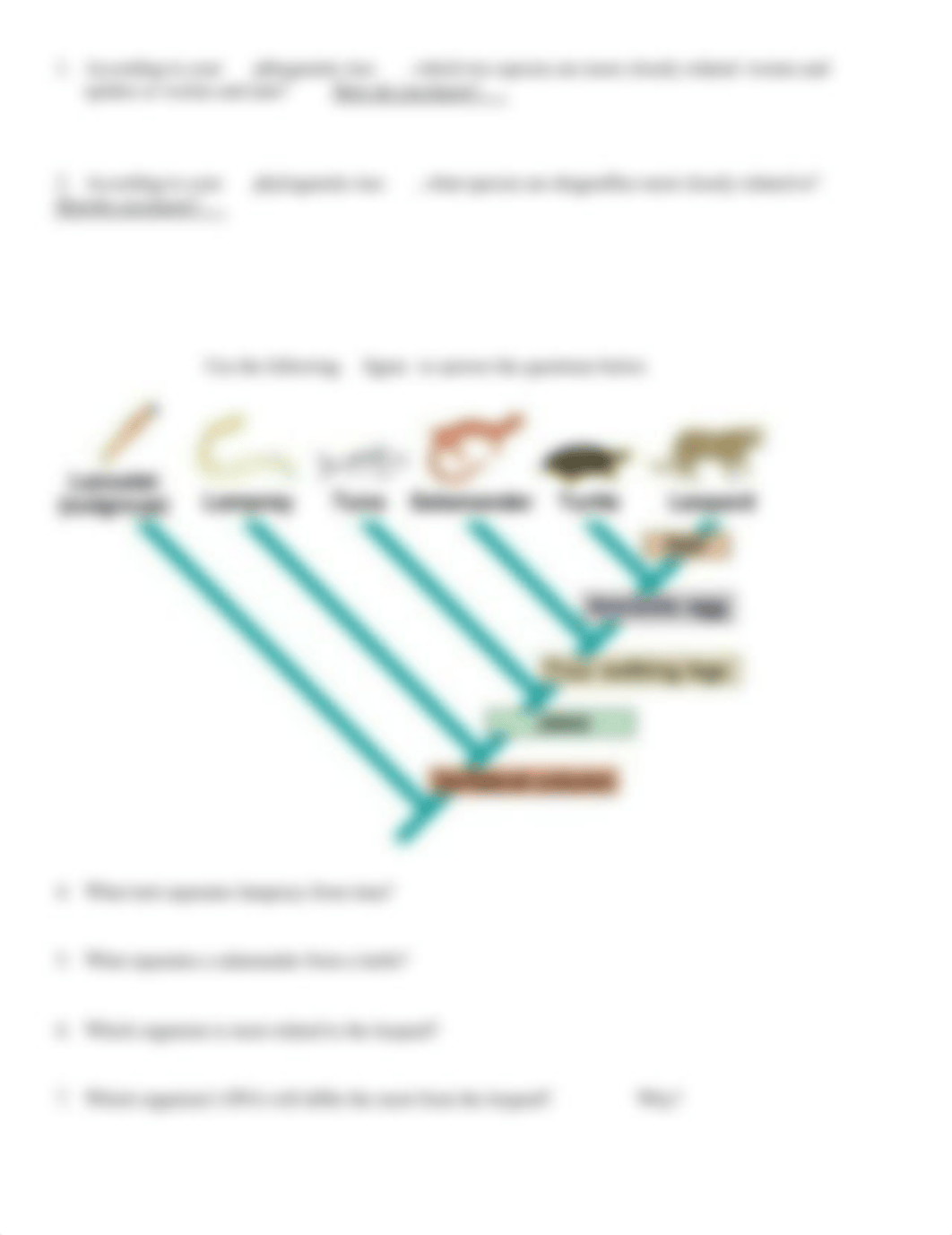 Phylogenetic Tree Worksheet-1.pdf_d8syat2yore_page2