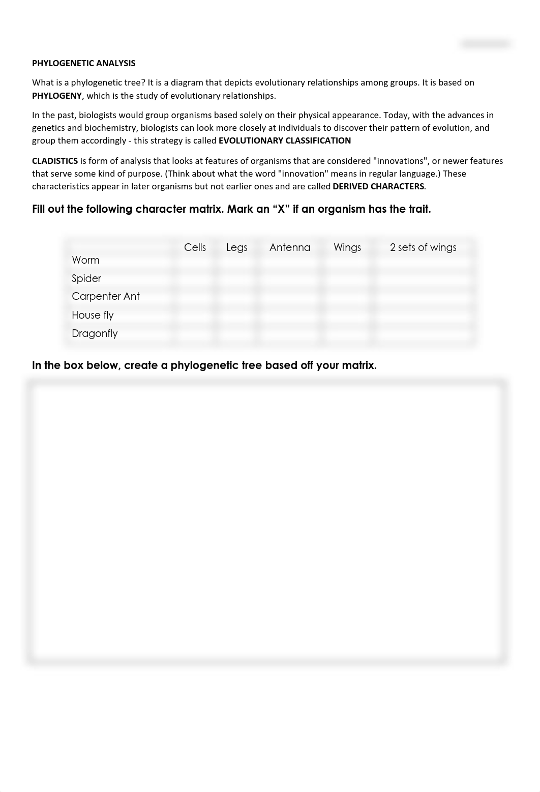 Phylogenetic Tree Worksheet-1.pdf_d8syat2yore_page1