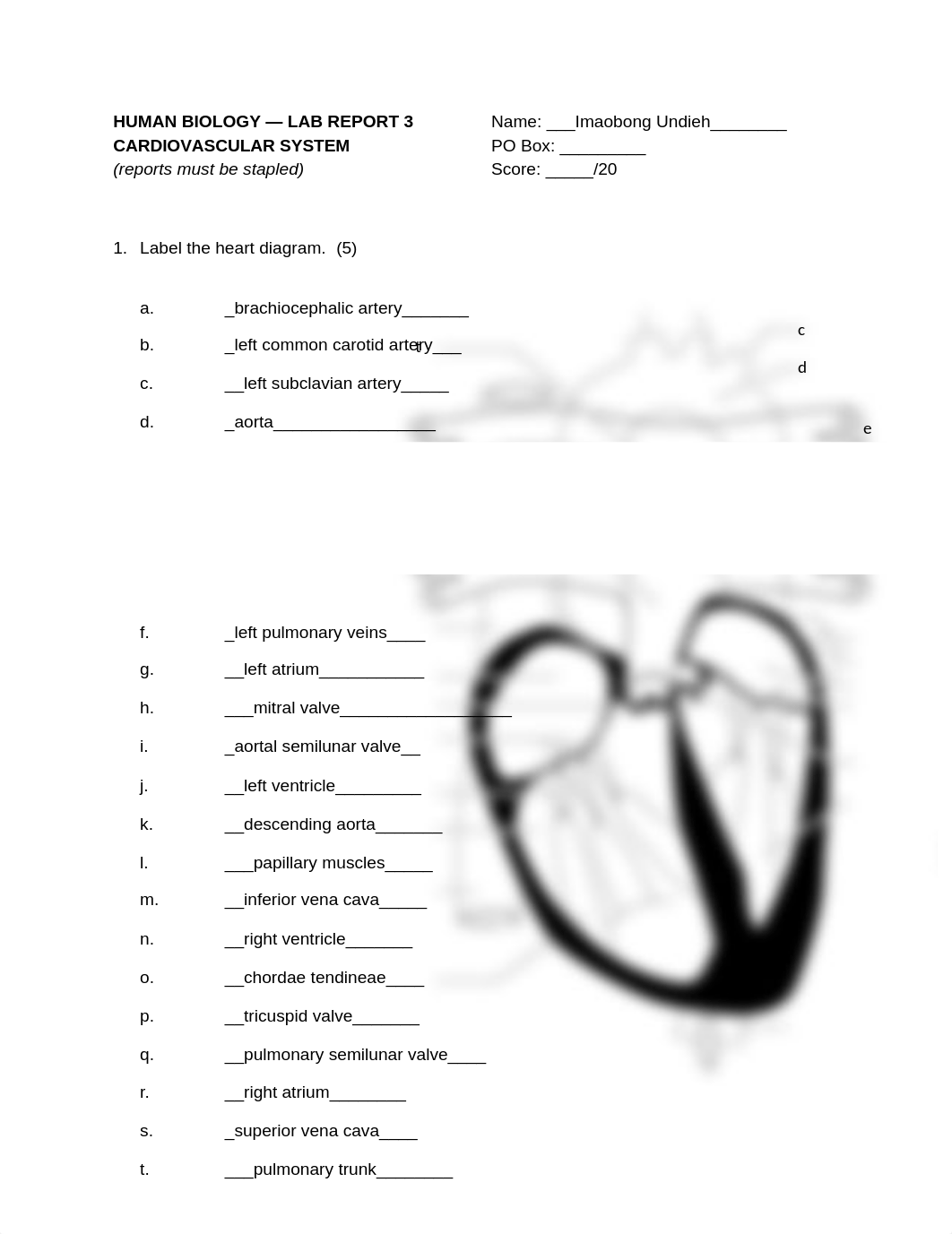 BIOL 258 Lab Report 3 Fillable.docx_d8t283rxcd9_page1