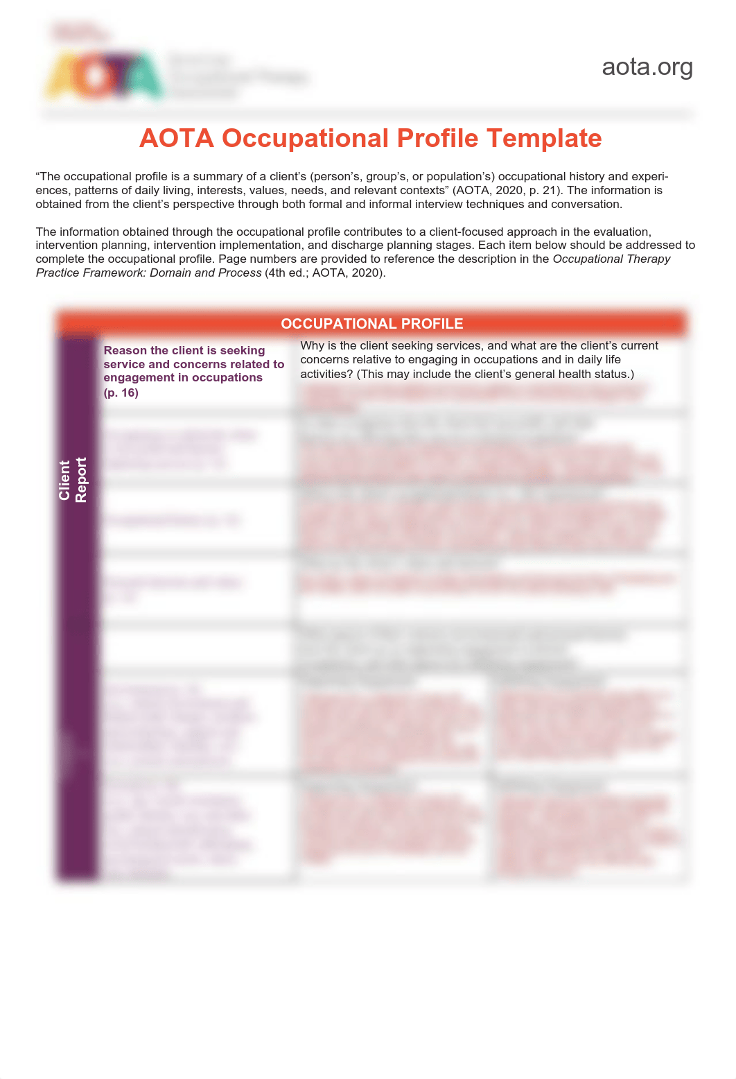 AOTA-Occupational-Profile-Template - Tagged.pdf_d8t2yay696h_page1