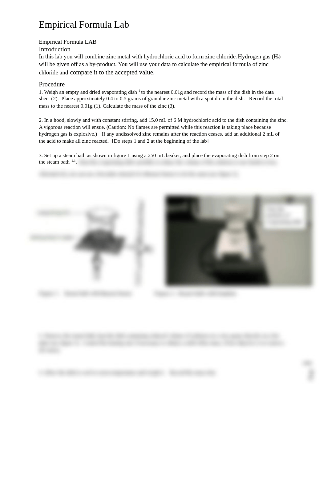Empirical formula lab-201.docx_d8t406d5o2n_page1