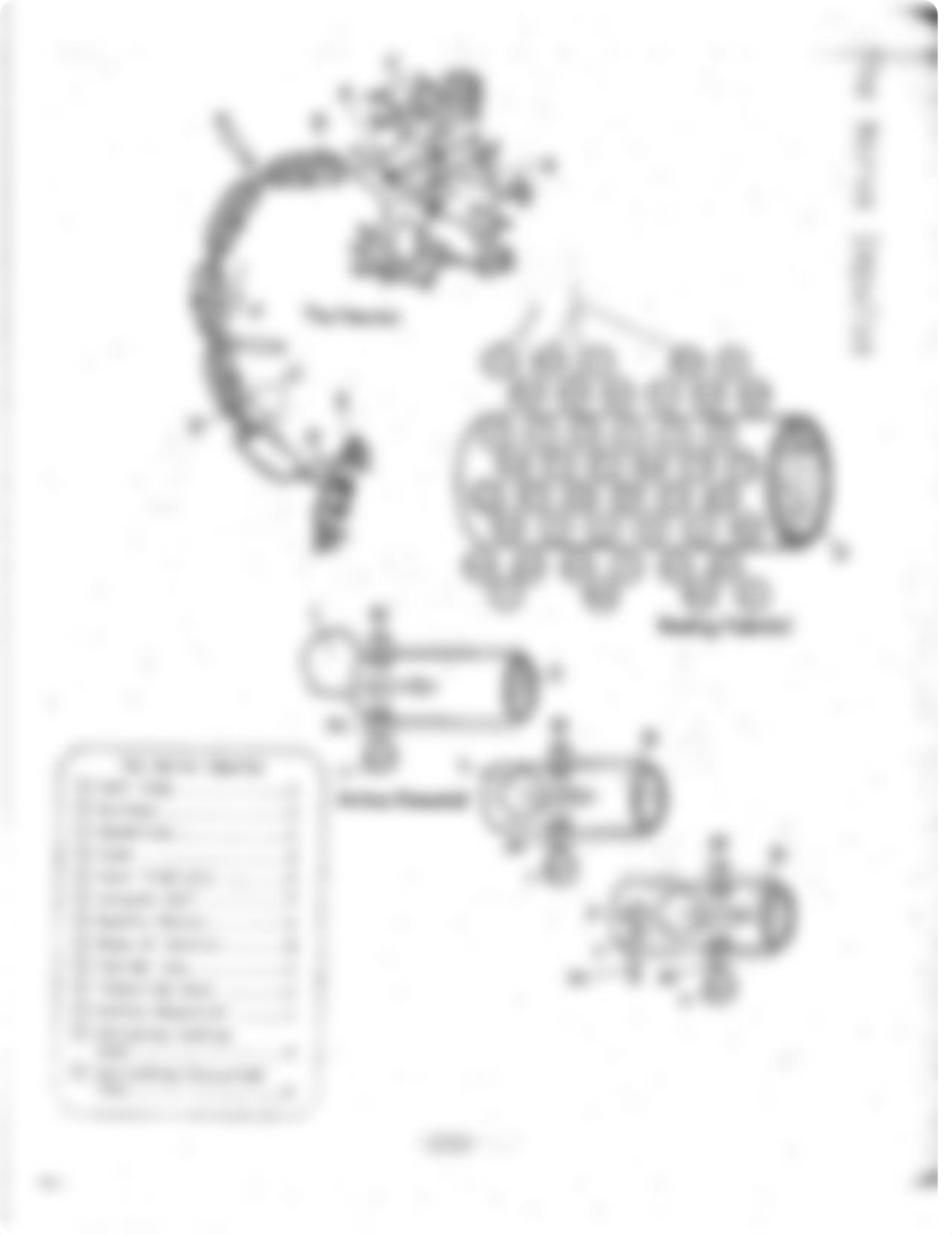 Neuron Action Potential Coloring Page.pdf_d8tfhojo7j7_page1