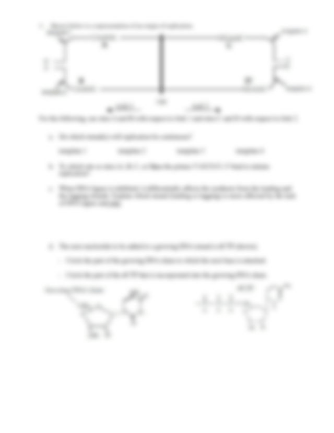 Chapter 12 problem set(1).pdf_d8tfnk4jw4l_page2