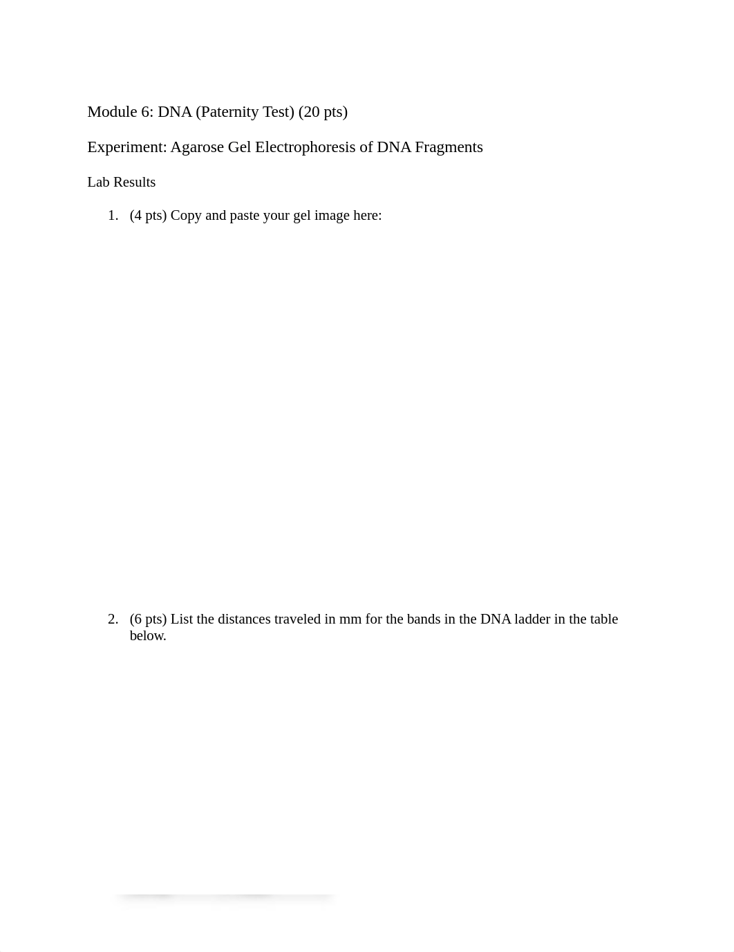 DNALabReport 04.17.docx_d8theglthp0_page1