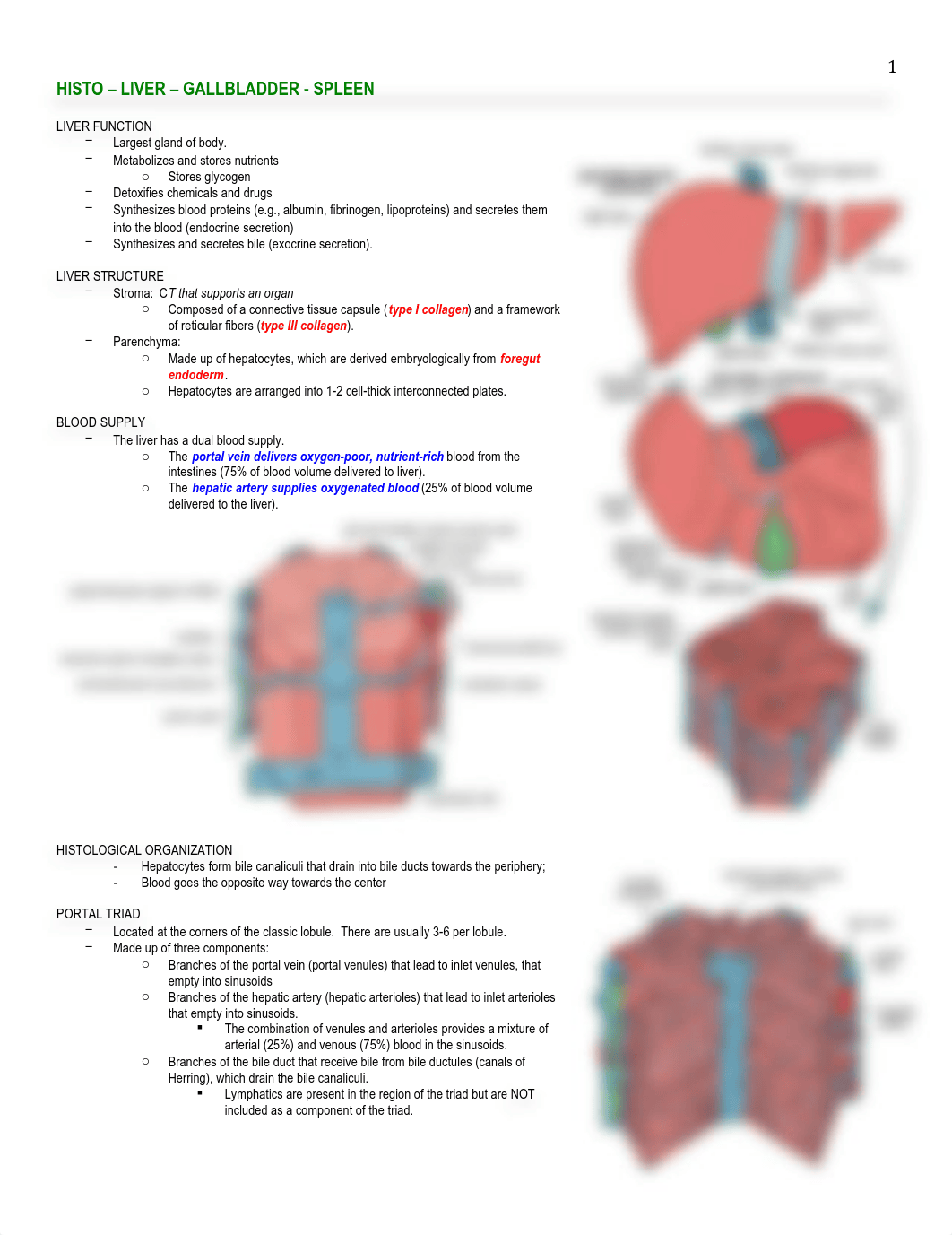 Histo - Liver, Gallbladder, Spleen - BL_d8tl0ct02s3_page1