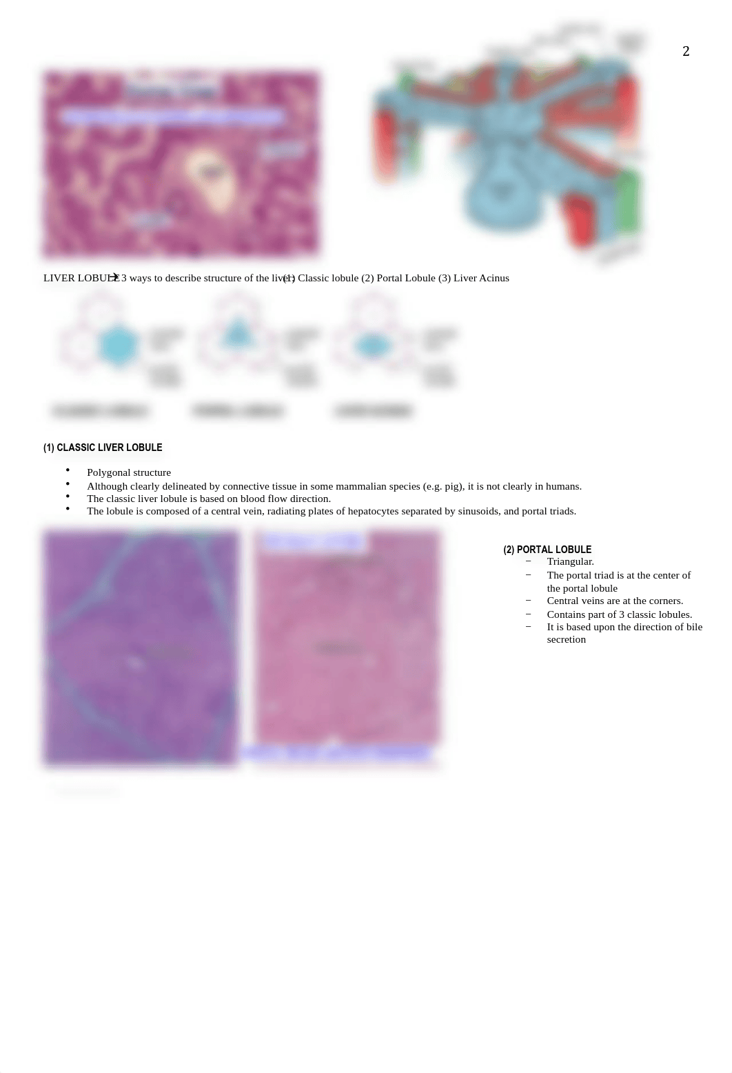 Histo - Liver, Gallbladder, Spleen - BL_d8tl0ct02s3_page2