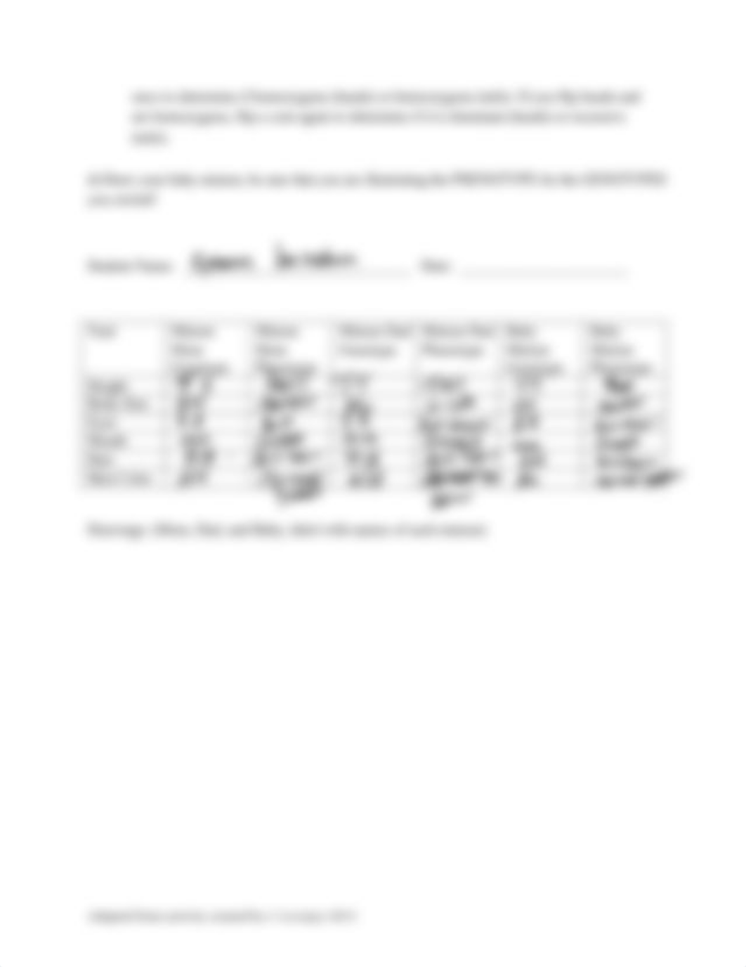 Minion Genetics Lab(1).pdf_d8toavwdrda_page2