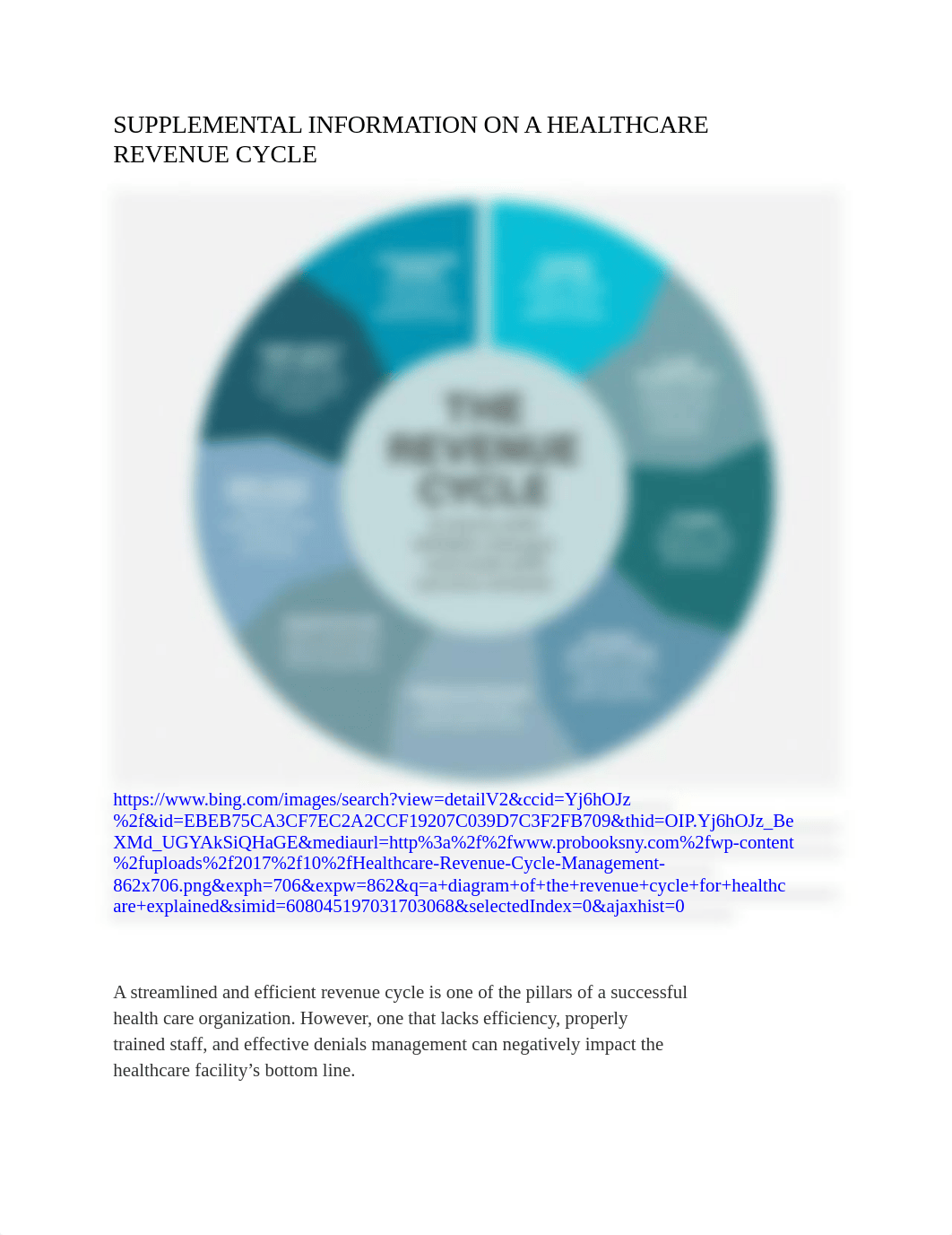 Revenue Cycle diagram.docx_d8tz2007n80_page1