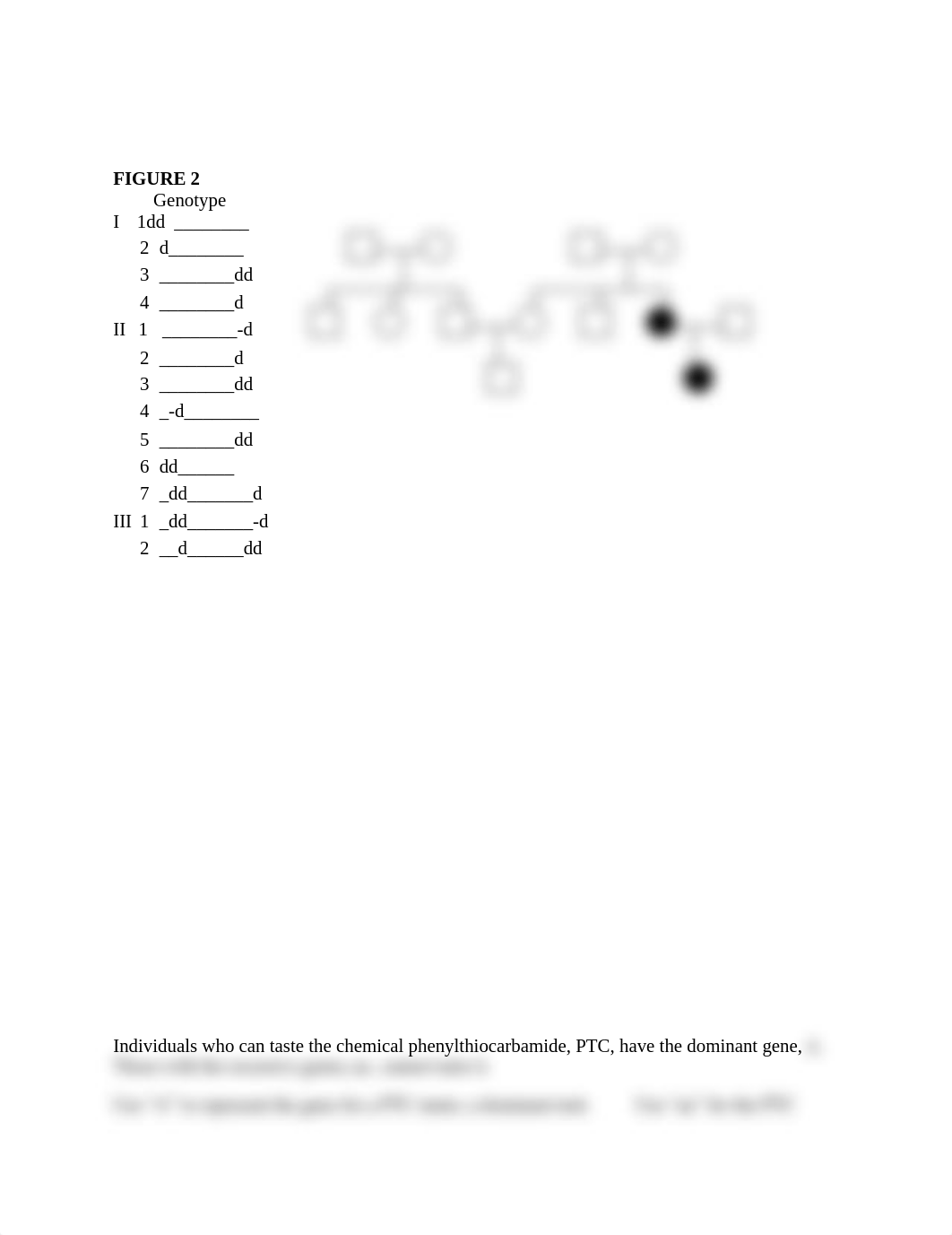 pedigrees (1).doc_d8udr941m9r_page3