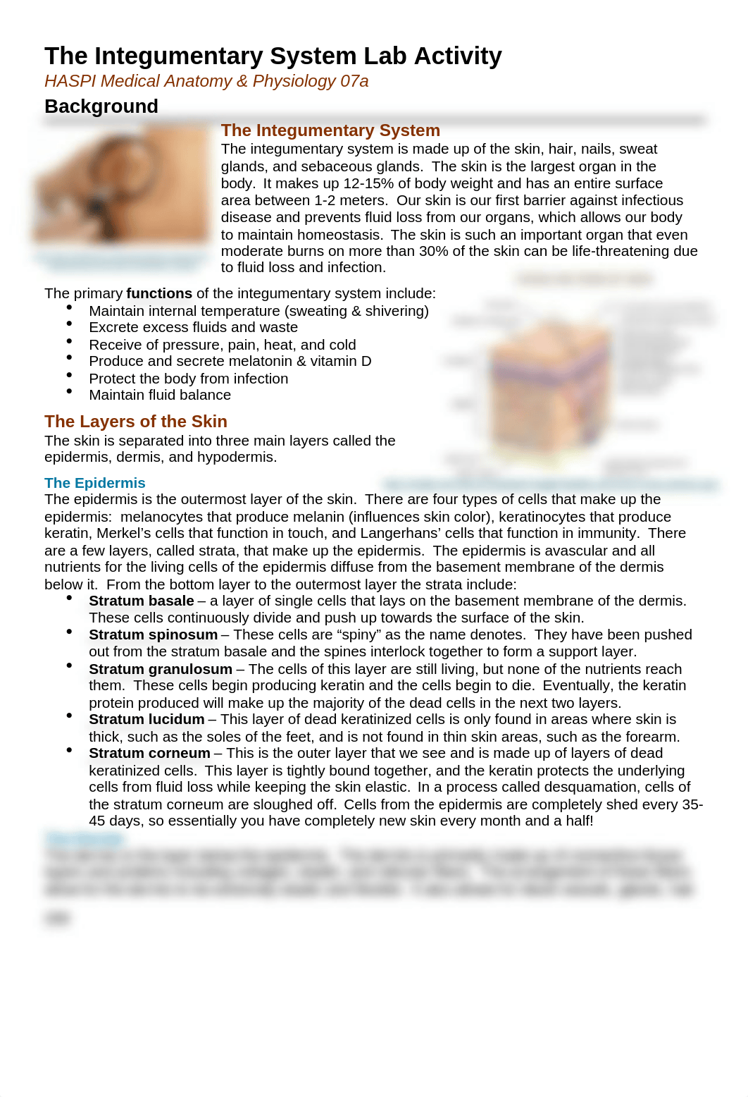 Integumentary System Lab Activity.docx_d8ulrifdpyk_page1