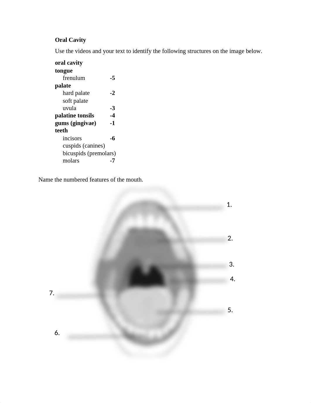 Organs of the Digestive System Feb 1-Ashli Rigel.doc_d8usiwhnfta_page2