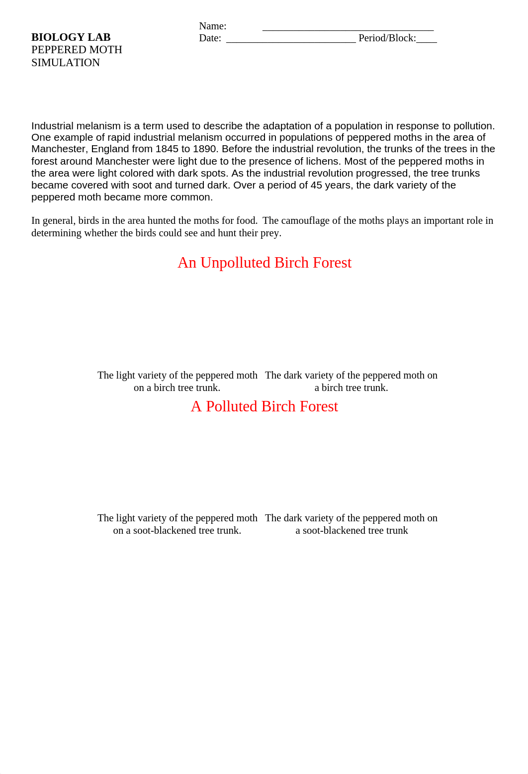 Pepperedmothlab 15-16.doc_d8vgpzk9zx7_page1