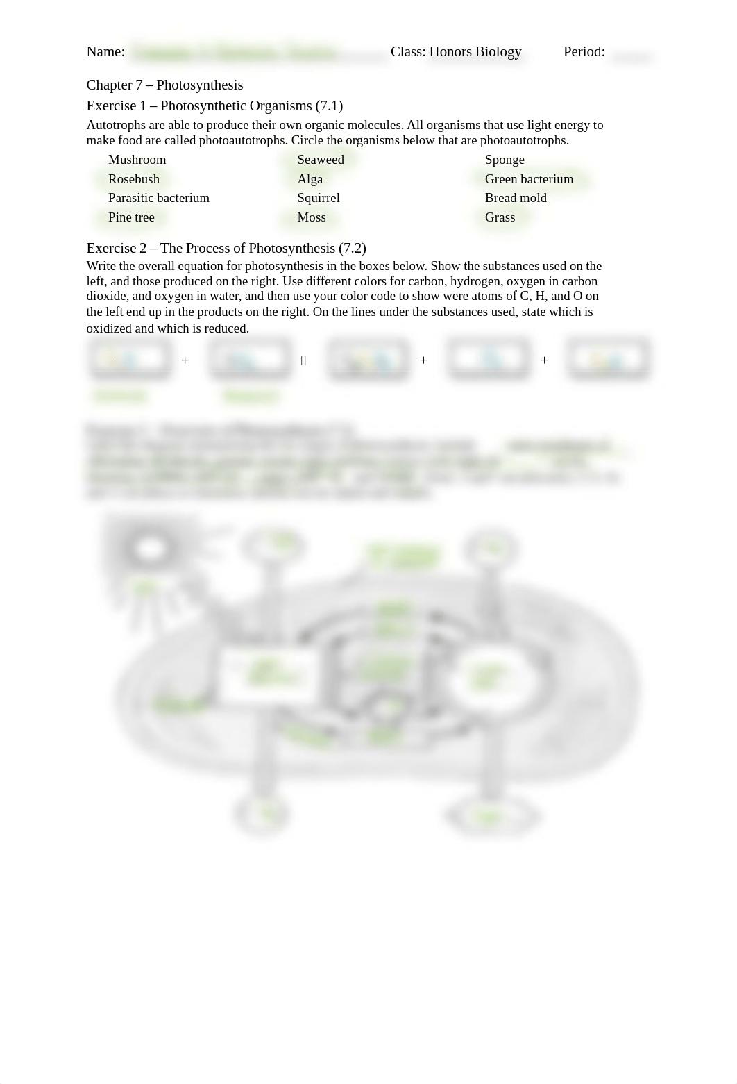 Photosynthesis Ch 07 Worksheet Photosynthesis.pdf_d8vlowbt4bk_page1