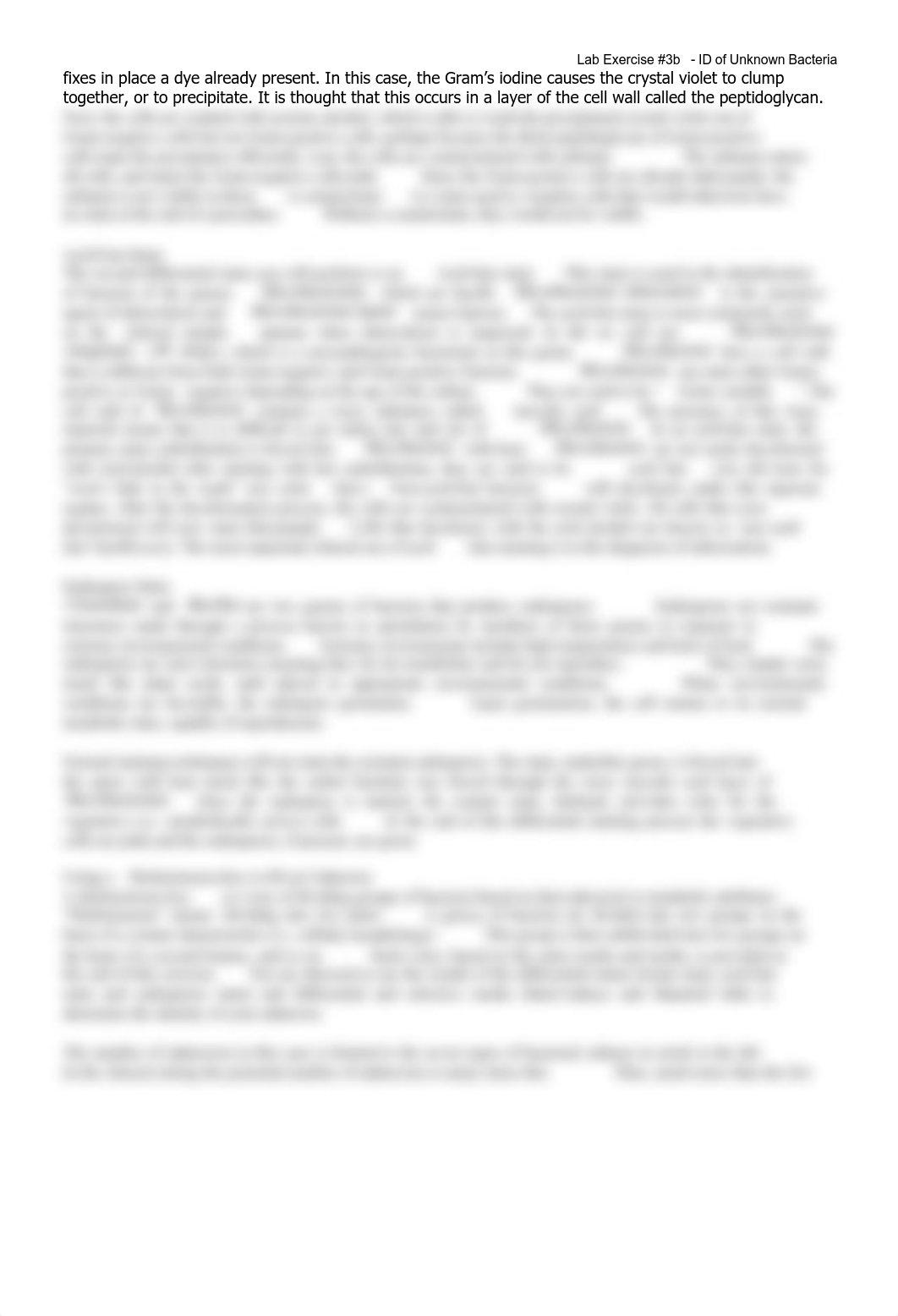 unknown bacteria lab.pdf_d8vpdctk6oi_page2