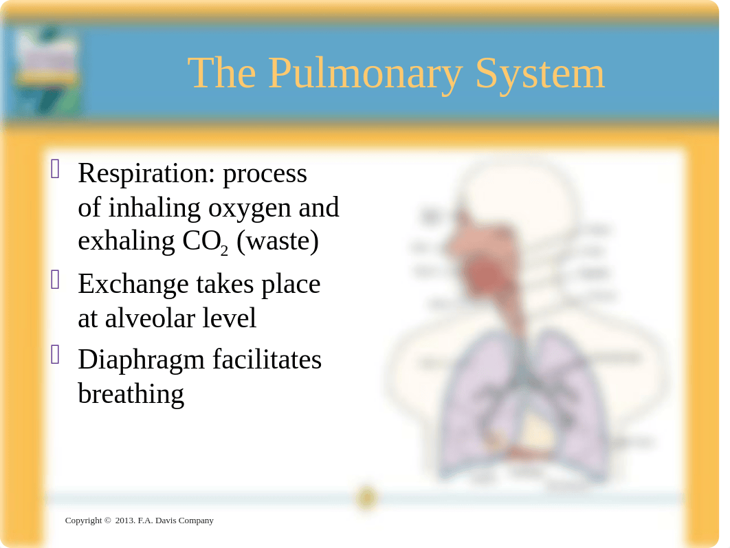 Chapter_018 Pharm PP.ppt_d8vpiuhc5zx_page4