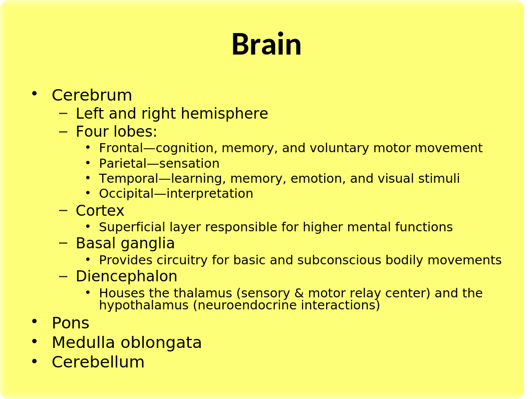 Neuro.ppt_d8vqpkp51q3_page4