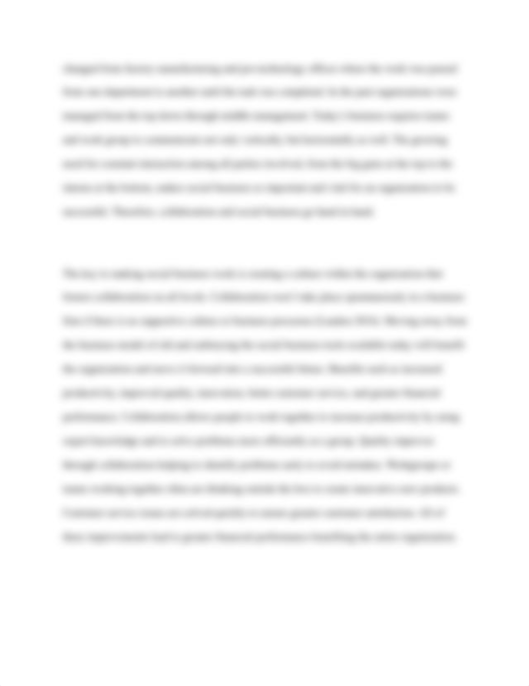 Broc Mathews BAM 509 Unit 1 Essay.docx_d8vs5ztf9co_page2