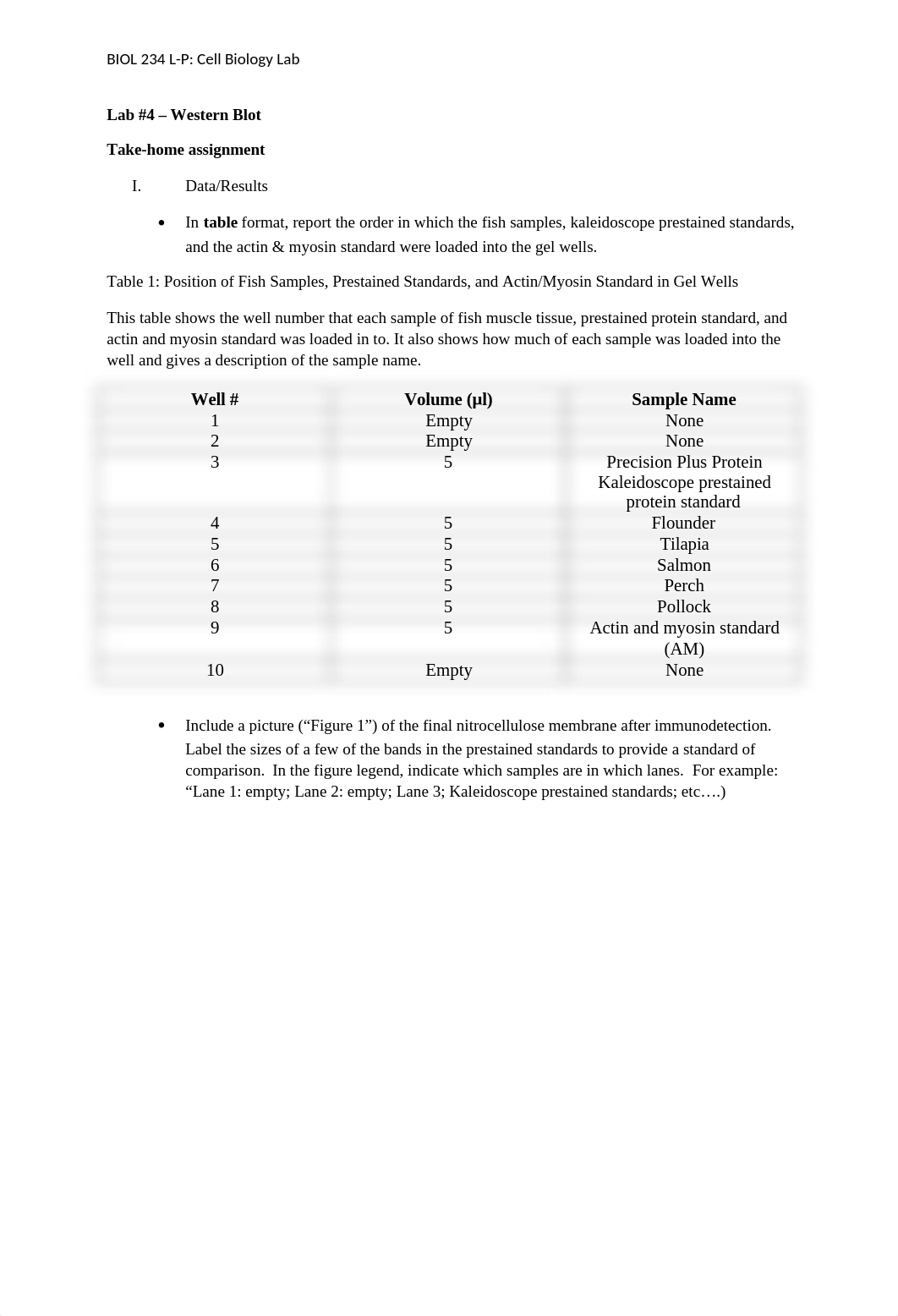 Western Blot Lab Take-Home.docx_d8w5ll1fa8f_page1