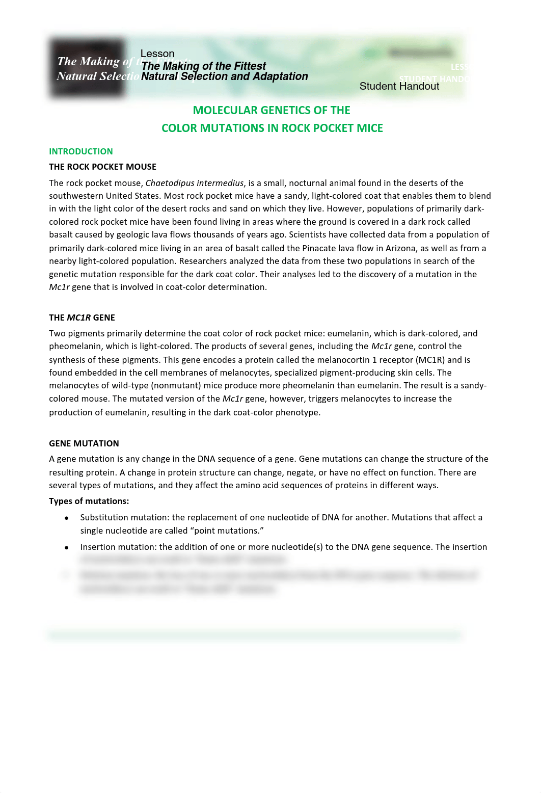 central dogma pt2 worksheet 1.pdf_d8weykou4dn_page1