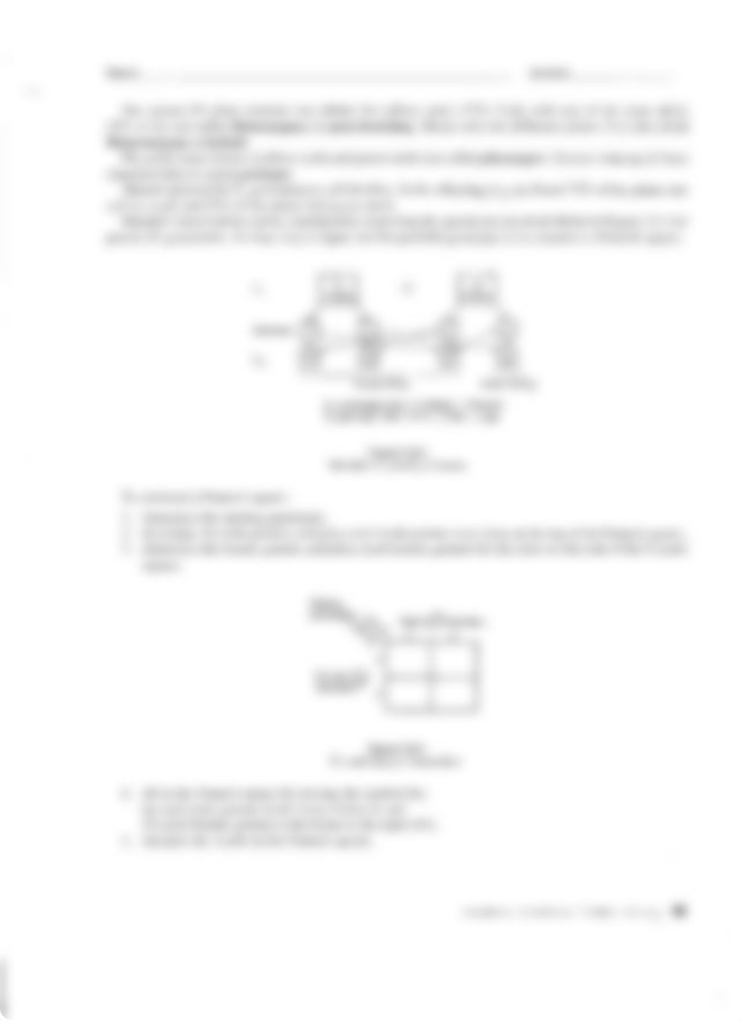 Lab 12 Mendelian Inheritance-1.pdf_d8wez523o9s_page3