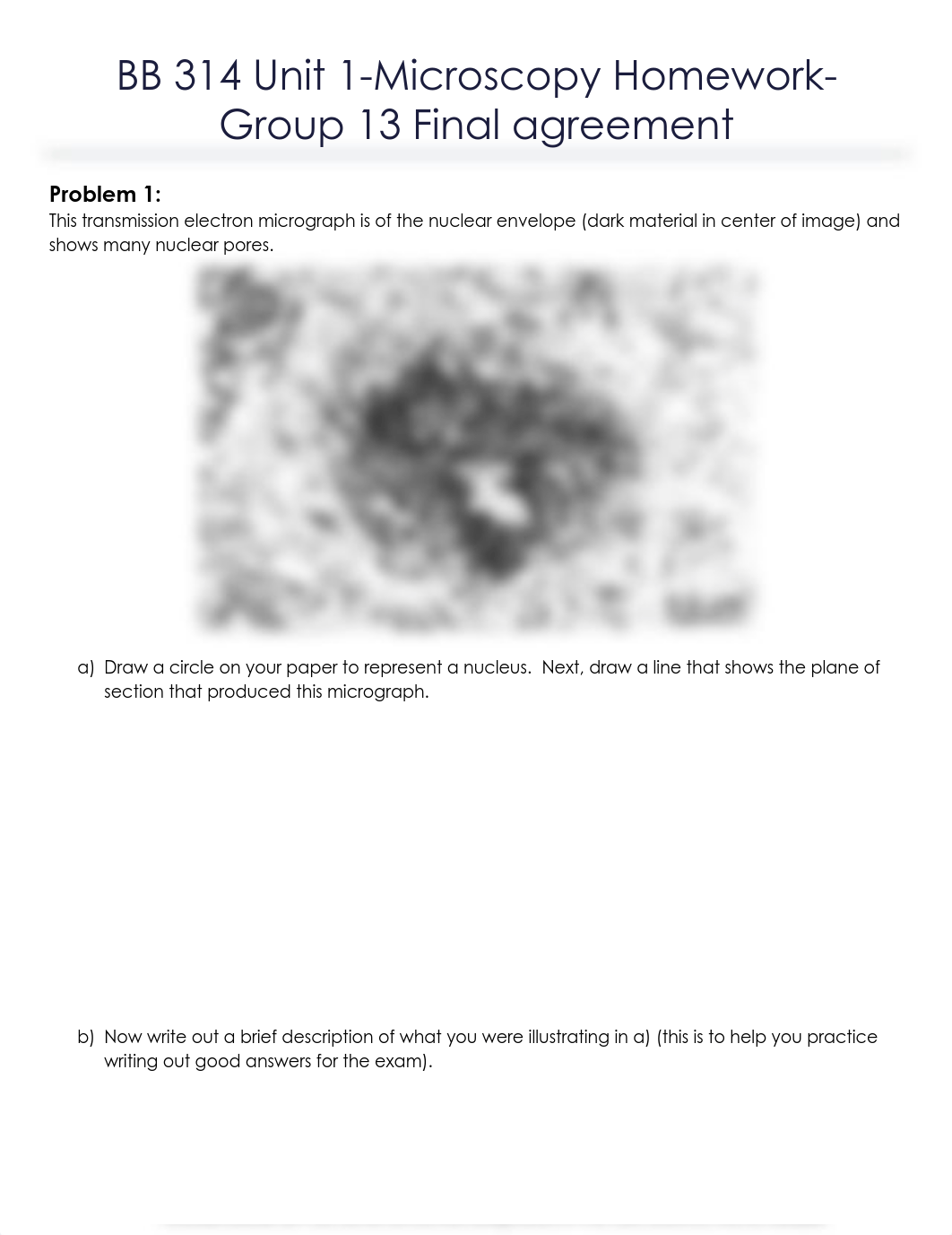 Final group choice of Unit 1- Homework_Group 13.pdf_d8wh01lrj9r_page1