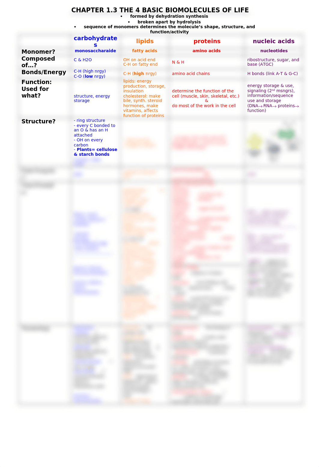 Unit 1.3 Biomolecules Study Guide_d8wiy6pi60n_page1