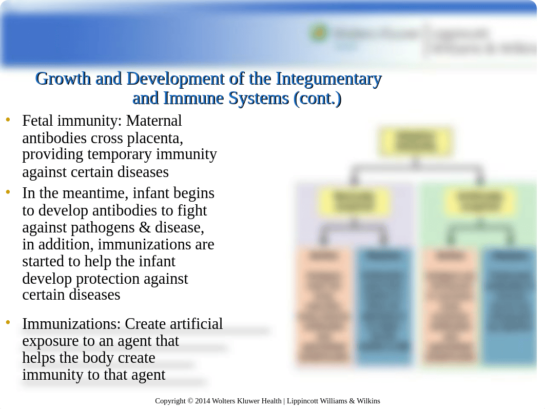 NUR 104 Chapter 41 Hatfield.ppt_d8wj6mvyqth_page4